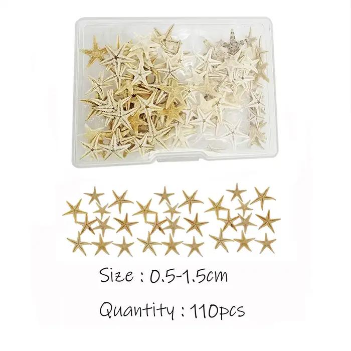 1 boîte de 110 pièces petite étoile de mer étoile de mer naturelle coquillage océan thème ornement p