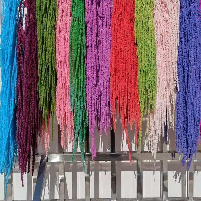 5/10 pièces de fleurs séchées blanchies pour décoration de mariage et de maison, amarante suspendue pour arrangements floraux et décoration DIY