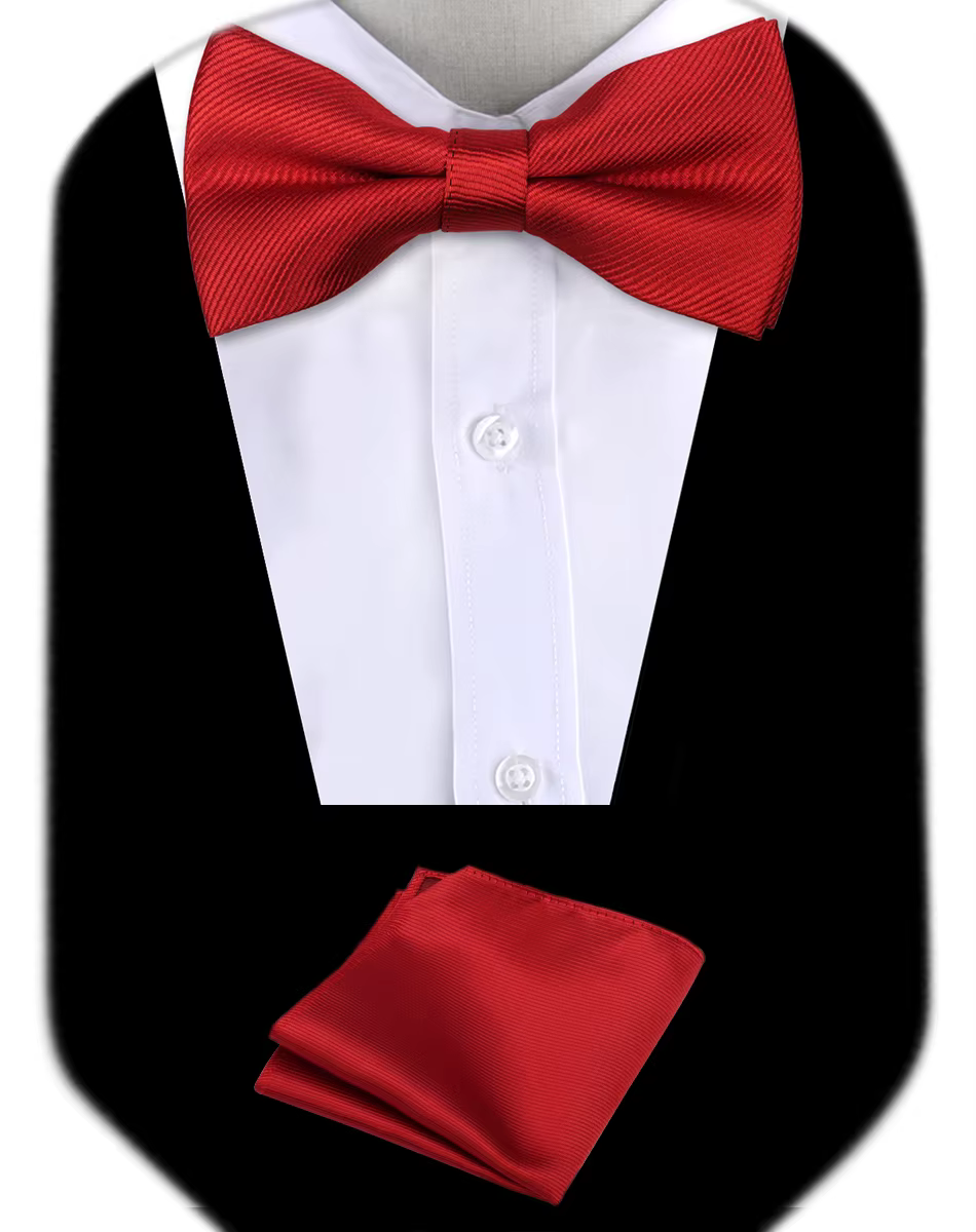 Noeud papillon homme mariage luxe noeud papillon Hanky cravate mode élégant ensemble cravate avec po