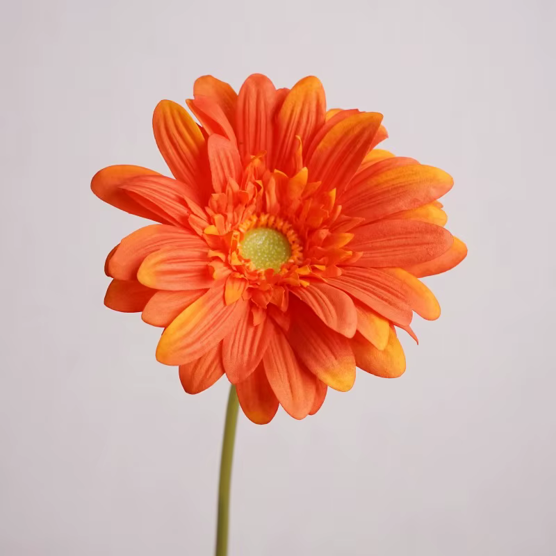 Branche de fleur artificielle Gerbera hydratante au toucher, décoration de mariage pour la maison, c