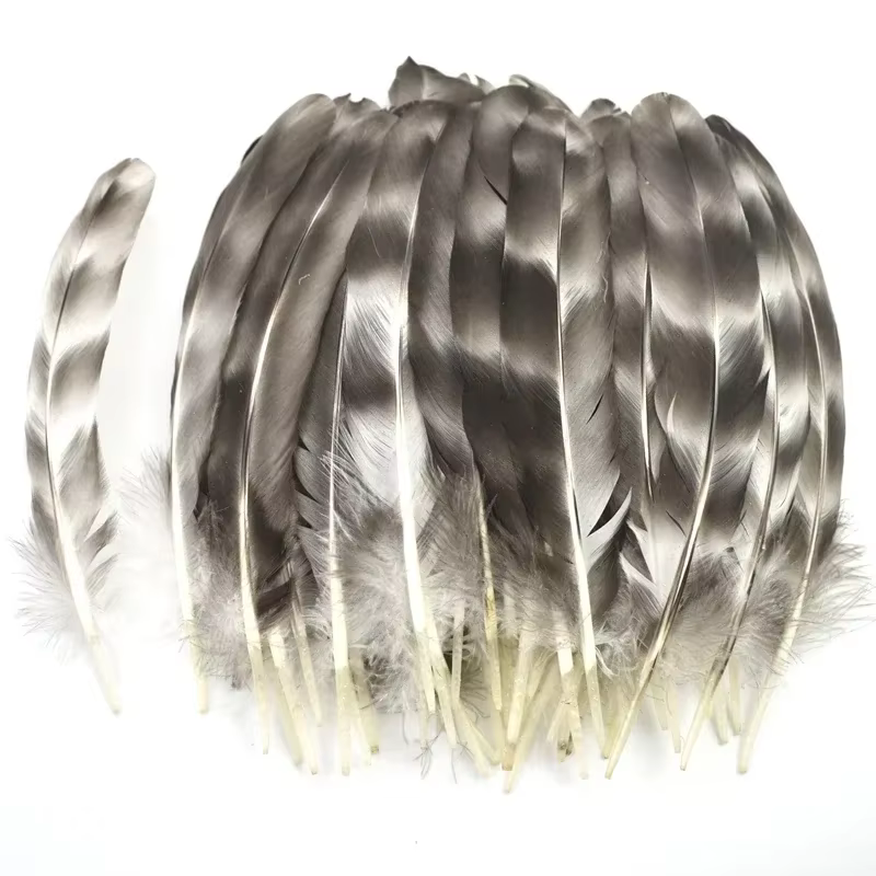 Plumes de faisan naturelles pour la fabrication de bijoux, décoration, plumes de poulet rayées, attr