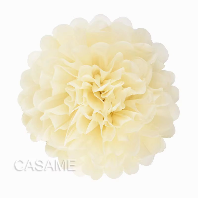 Décoration de mariage papier de soie fleurs bricolage papier Pom Poms boules lanternes décor de fête