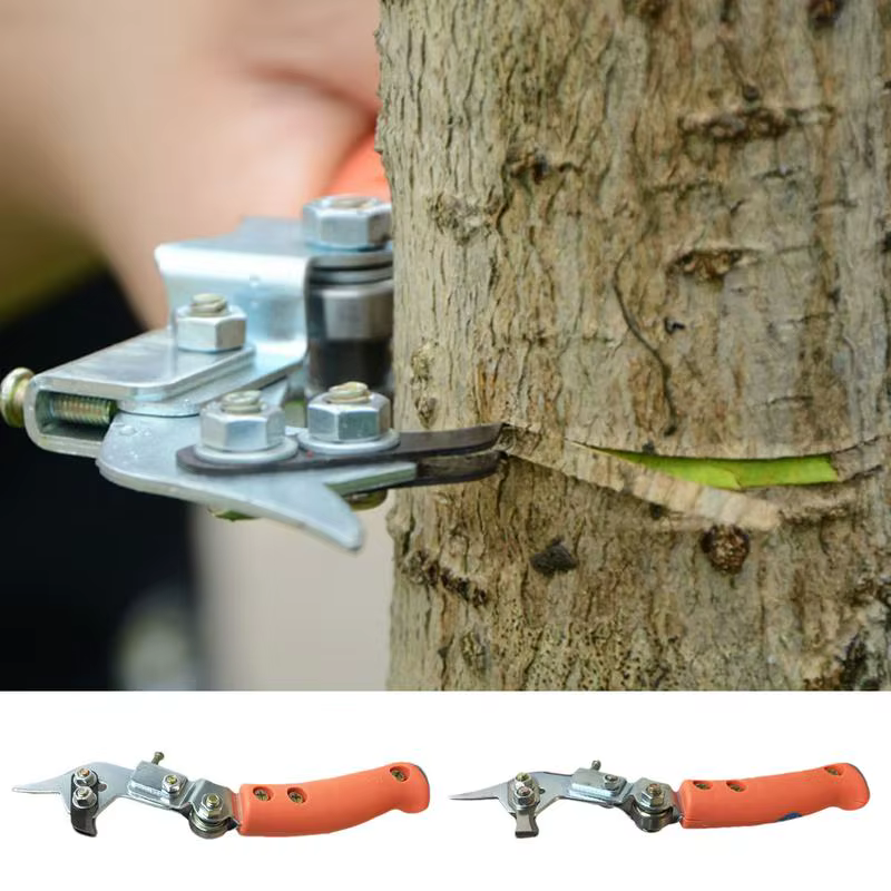 Outil de coupe réglable pour éplucher les arbres fruitiers, coupe-anneau, sécateur, aboiement, ceint