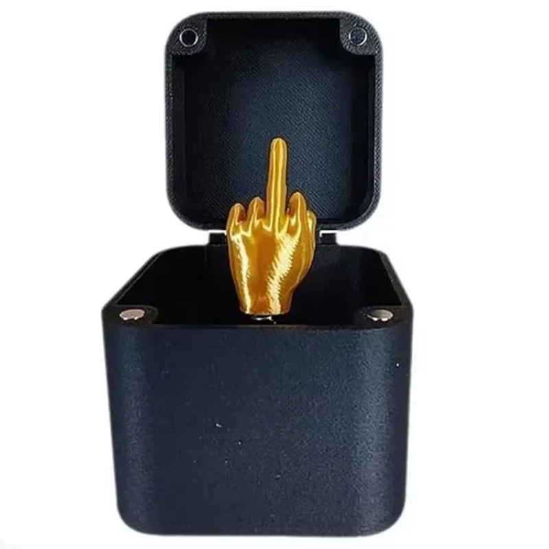 Cadeau farfelu Doigt d'honneur dans une boîte – Boîte cadeau pop-up Doigt d'honneur – Boîtes cadeaux