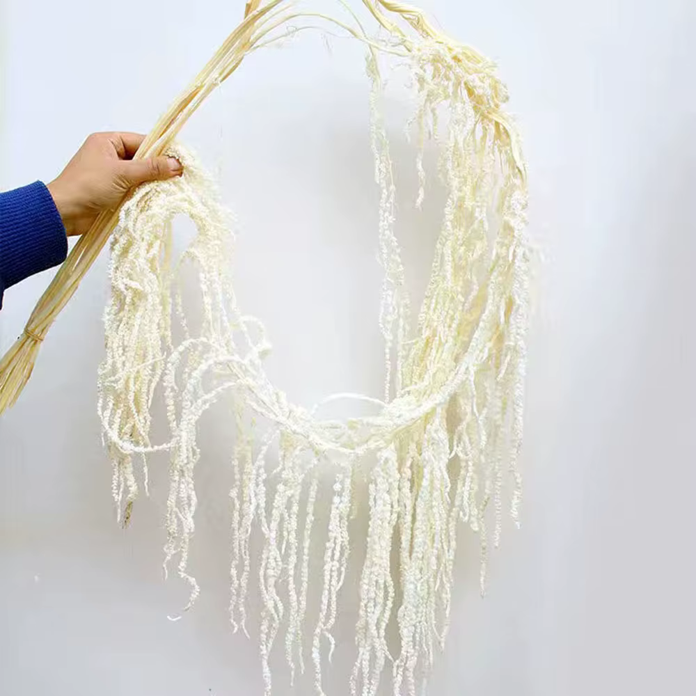 Fleur d'amaranthès suspendue séchée, 5 pièces, centres de table de mariage, structures de cérémonie,
