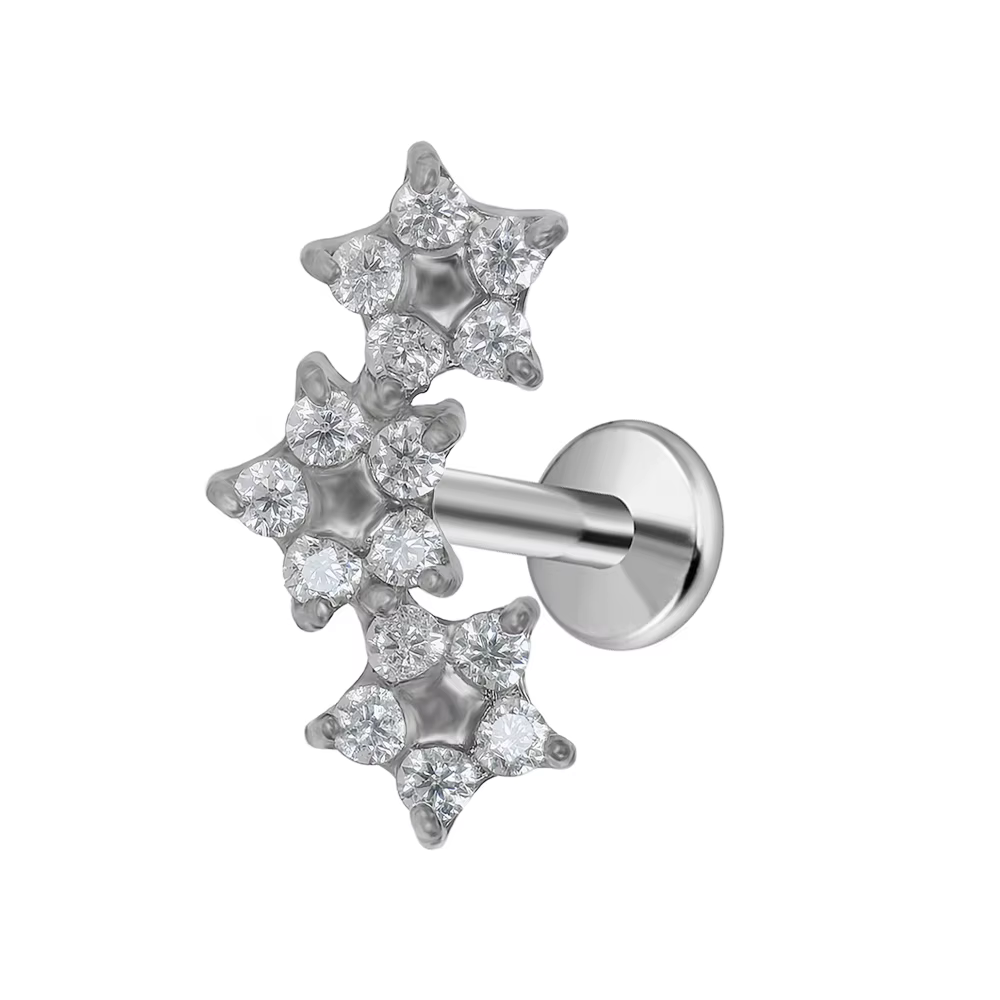 Boucles d'oreilles à dos plat en forme de feuille, Piercing étoile Labret, fleurs, Tragus, cœur, pen
