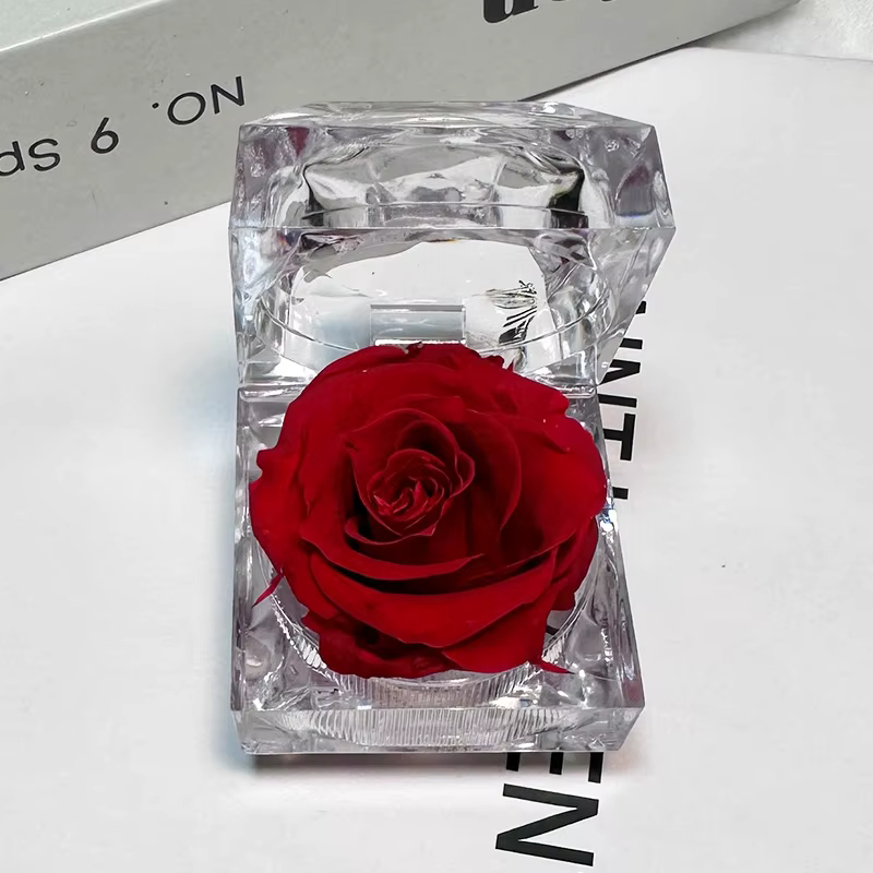 Boîte à bijoux en acrylique transparente avec rose éternelle préservée, coffret cadeau Saint-Valenti