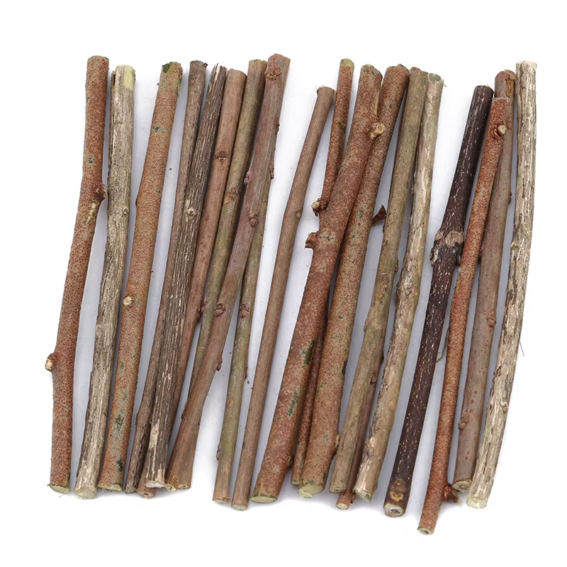 Bâtonnets en bois de branche de saule naturelle, disques de bûches, fournitures artisanales de brico