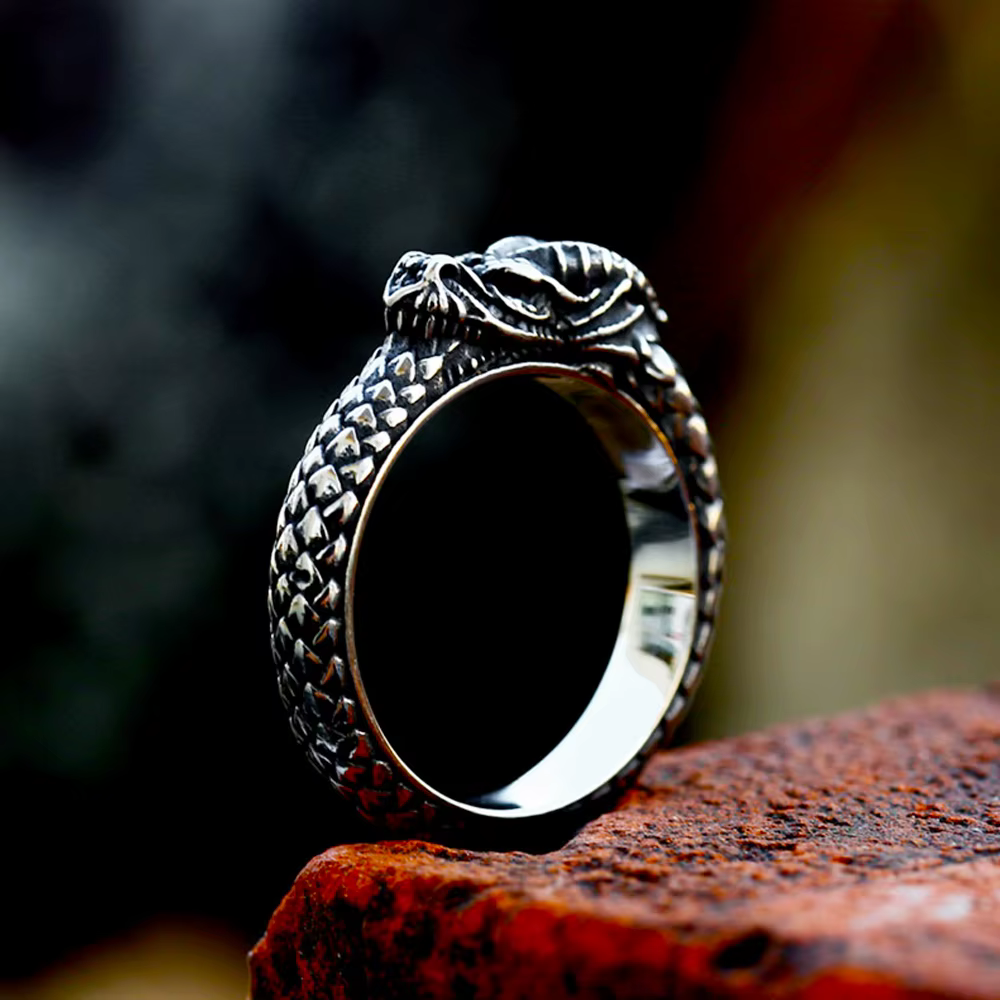 Bague Nordic Myenson Viking Ouroboros pour hommes et femmes, matiques de salle vintage, acier inoxyd