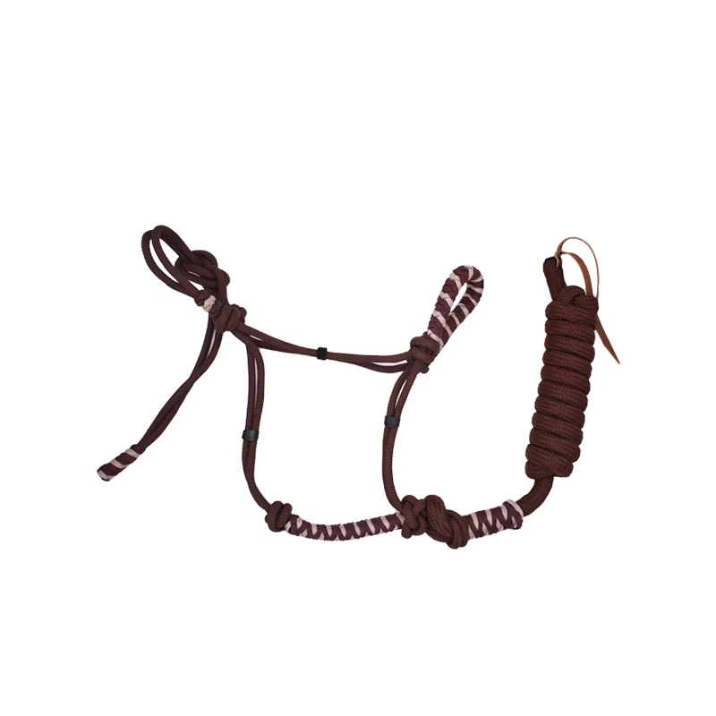 Harnais d'entraînement Western pour chevaux – Harnais de sécurité robuste avec longe, idéal pour le 
