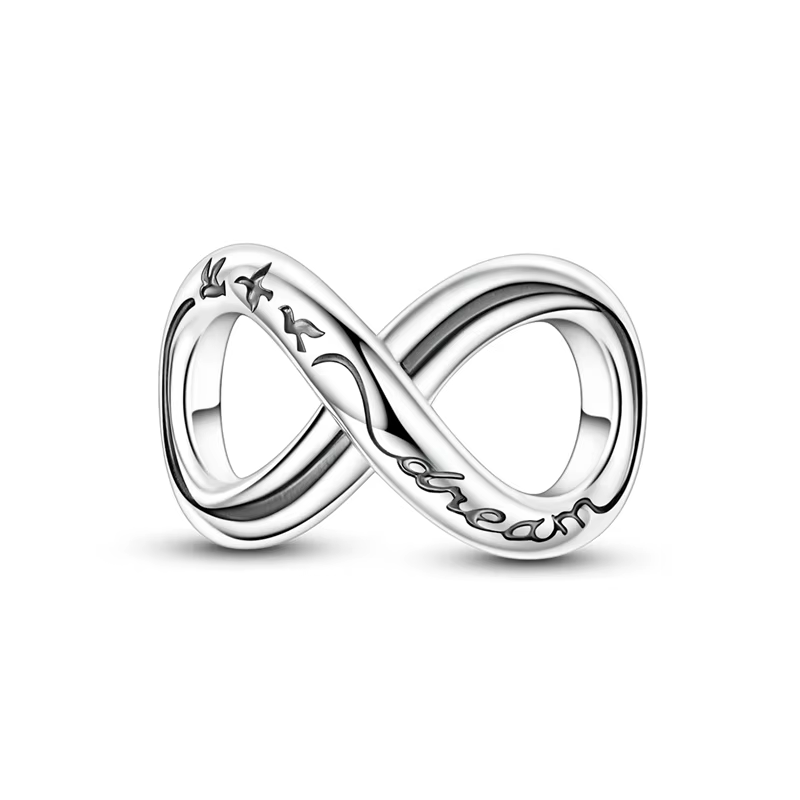 Breloques en argent sterling 925, oiseaux en vol, rêves infinies, pour femmes, compatibles avec brac