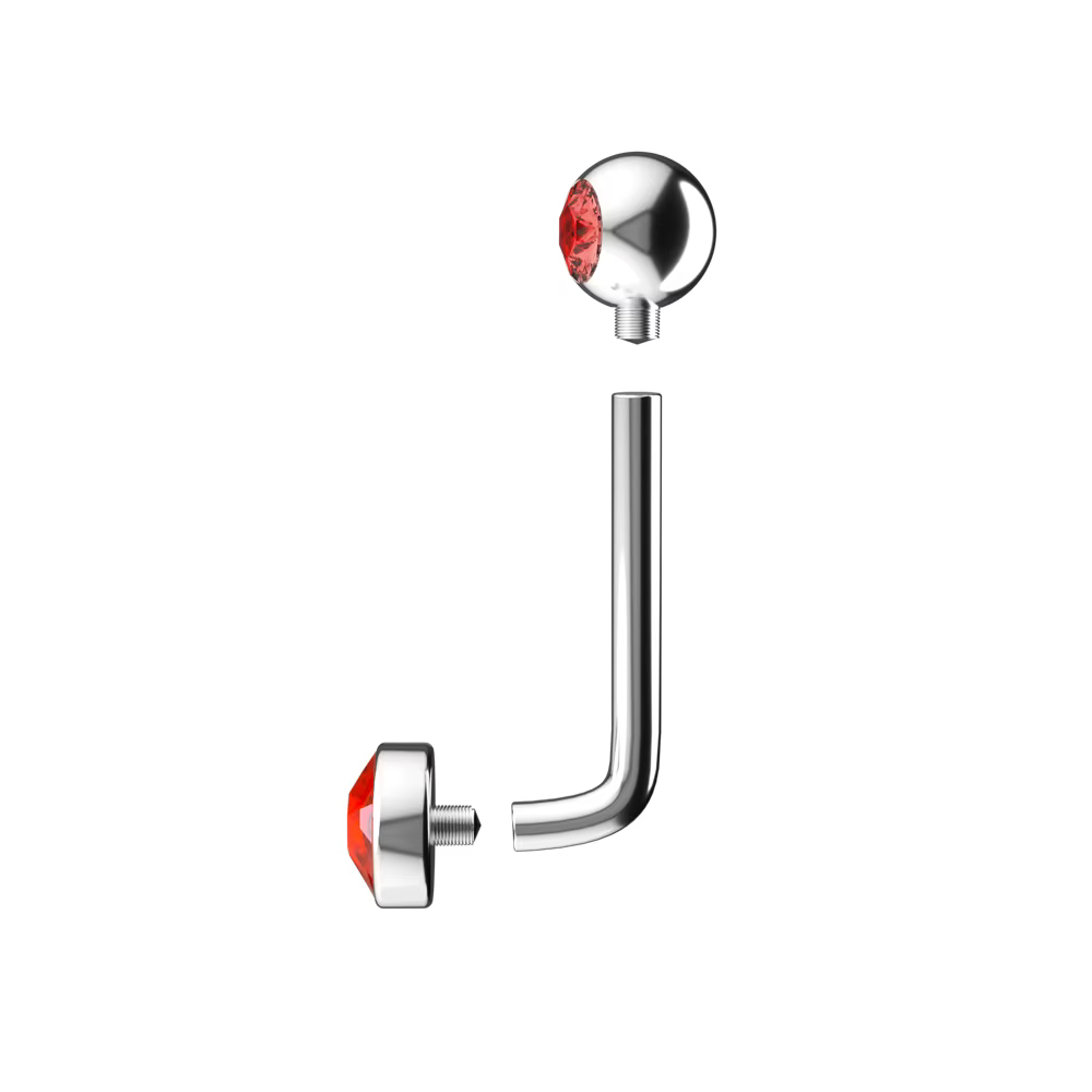 1PC titane Christina capuche verticale Piercing rond lèvre ventre nombril anneaux Sexy brillant vagin génital VCH sourcil corps bijoux