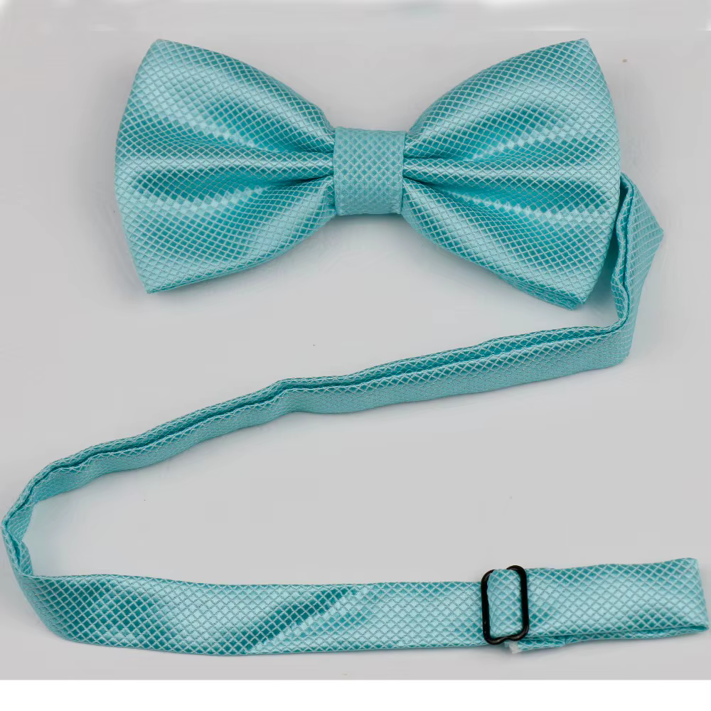 Nœud papillon pour hommes