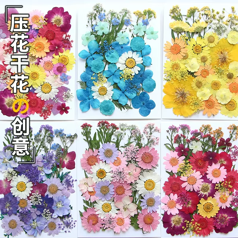 Fleurs séchées pressées pour moules à résine