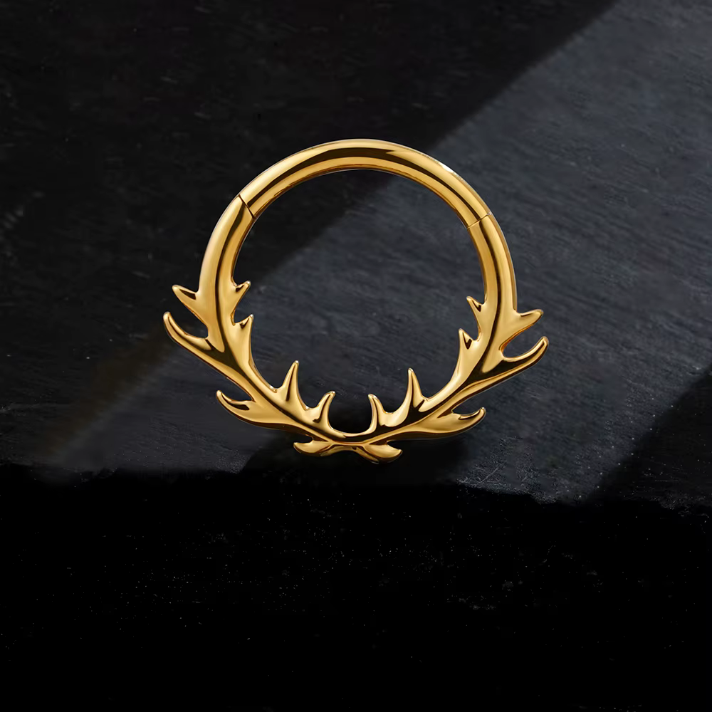 Right Grand Anneau de septum en titane ASTM F136