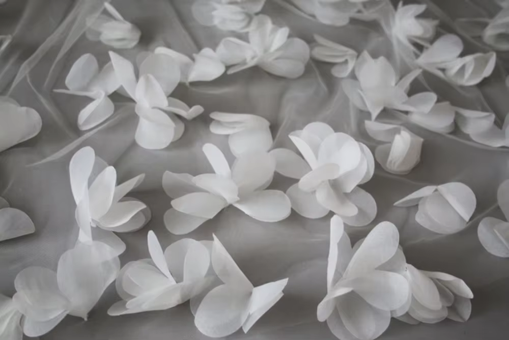 Voile de mariée Long
