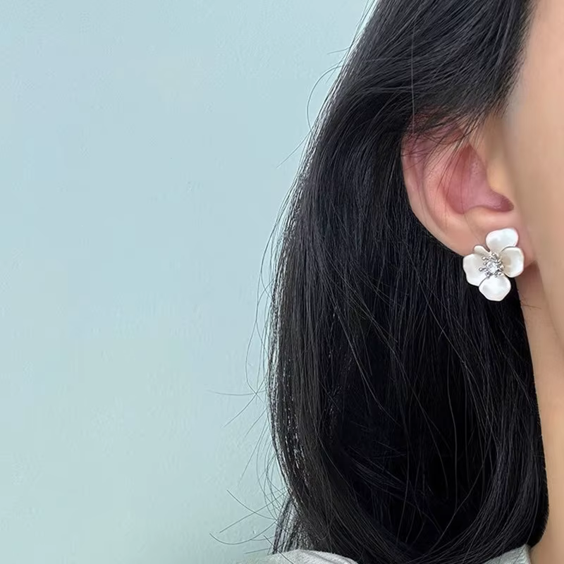 Boucles d'oreilles clous en zircon couleur argent