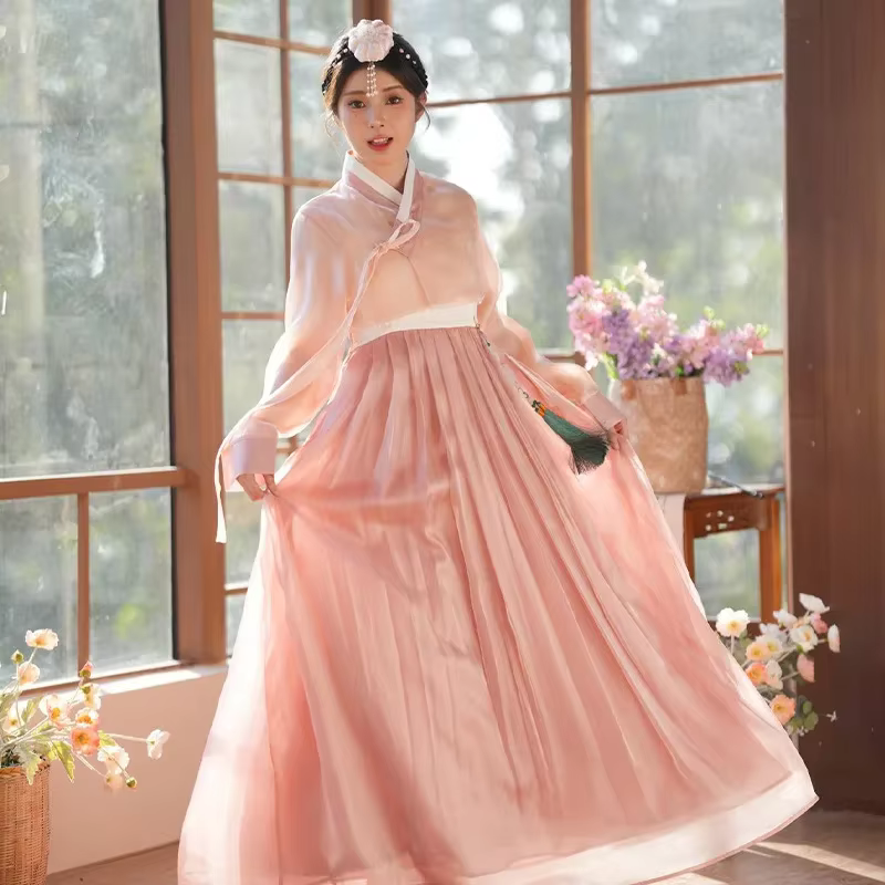 Robe Hanbok Coréenne Traditionnelle Ancienne pour Femme
