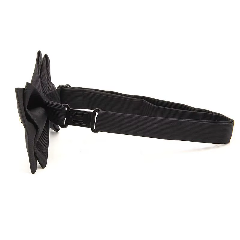 Nœuds papillon en métal rayé pour hommes
