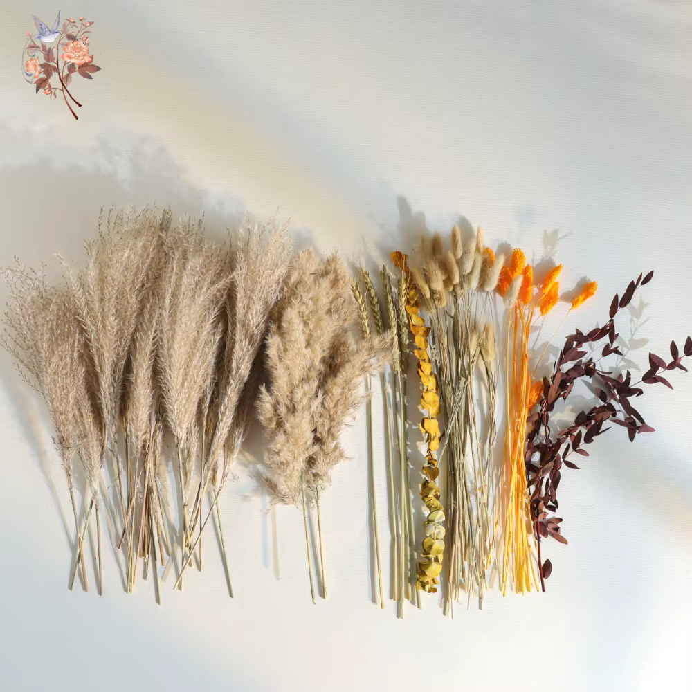 Bouquet de fleurs séchées naturelles Pampas