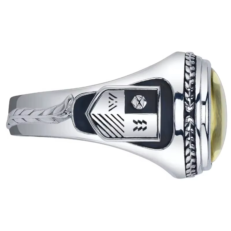Destin 2 Warlock anneau commémoratif Bungie jeu Original Ins Design sens anneaux de Niche