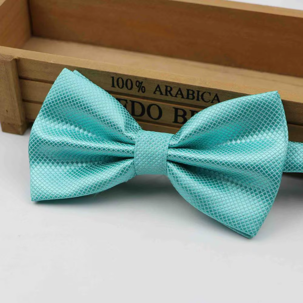 Nœud papillon pour hommes