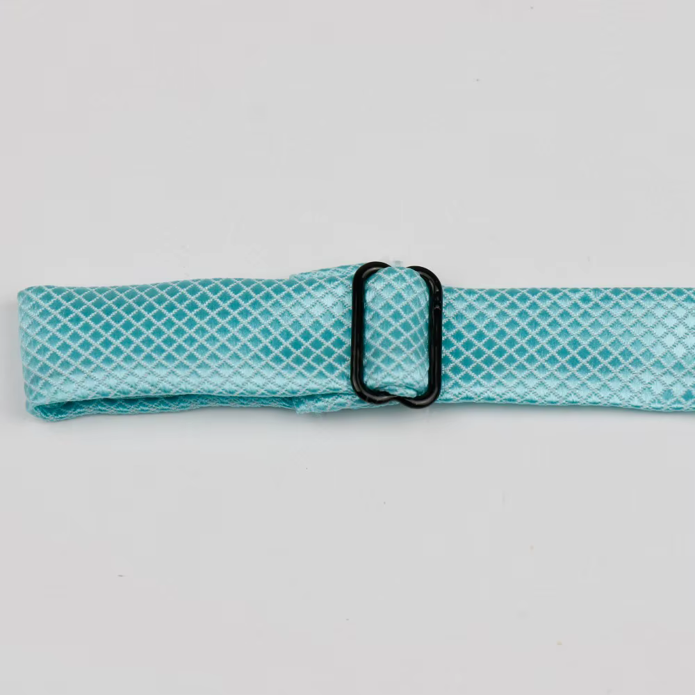 Nœud papillon pour hommes