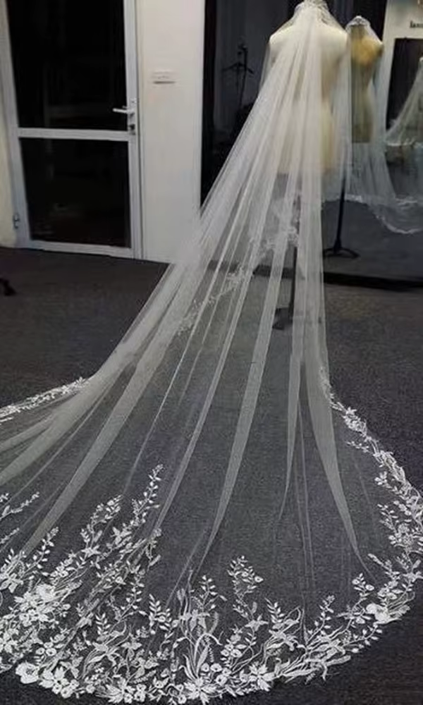 Scintillant blanc ivoire longs voiles de mariée voile de mariage dentelle Appliques doux Net cathédrale