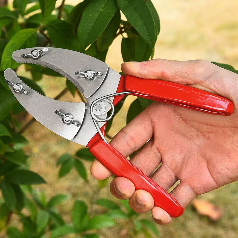 Cisaille à écorcher les arbres fruitiers