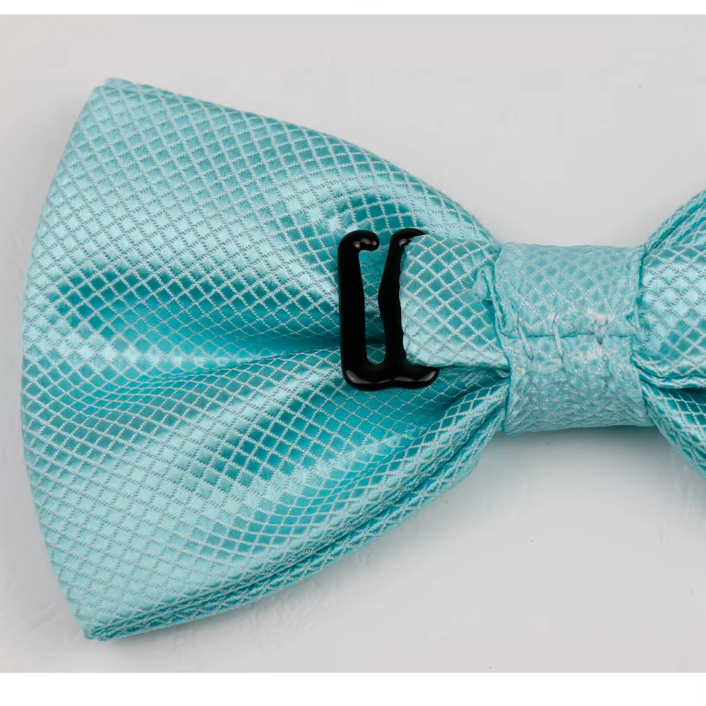 Nœud papillon pour hommes