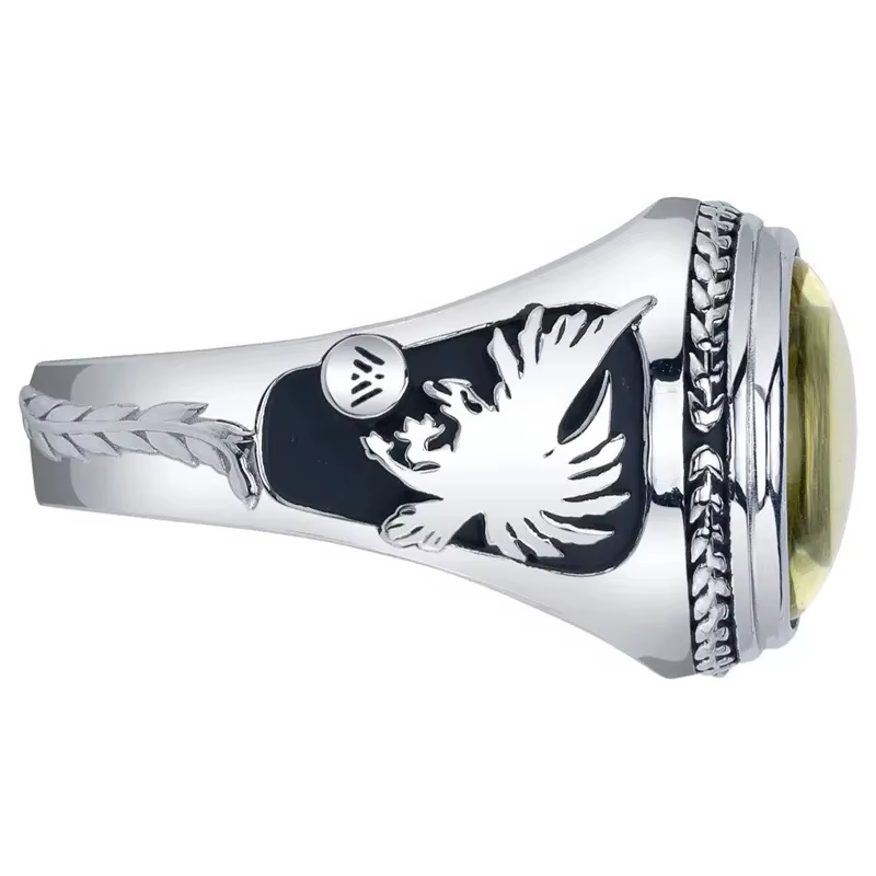Destin 2 Warlock anneau commémoratif Bungie jeu Original Ins Design sens anneaux de Niche
