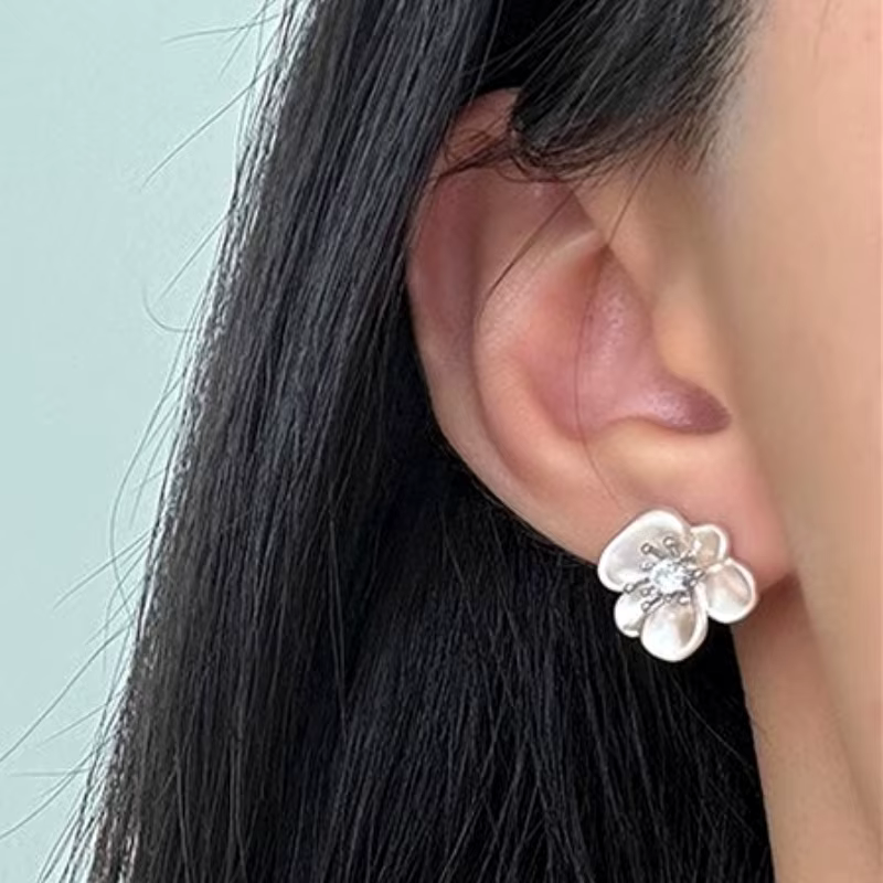 Boucles d'oreilles clous en zircon couleur argent