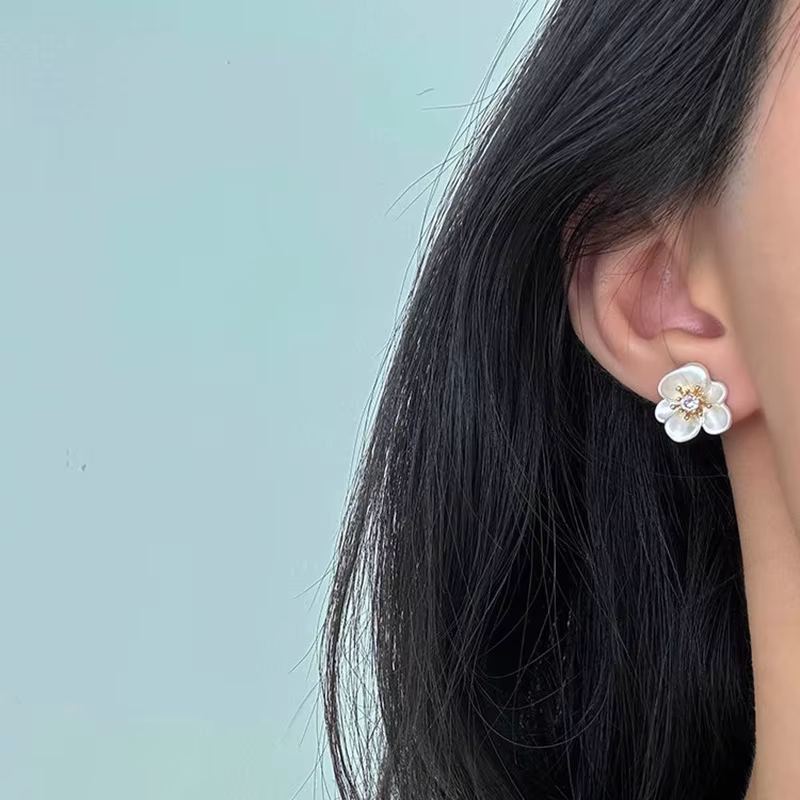 Boucles d'oreilles clous en zircon couleur argent