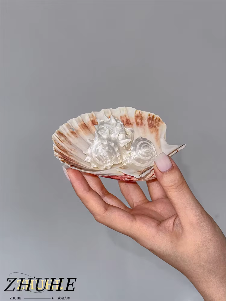 La nouvelle bague conque de la série Ocean est fabriquée en résine de style rétro et présente un design à la mode et de niche pour les femmes