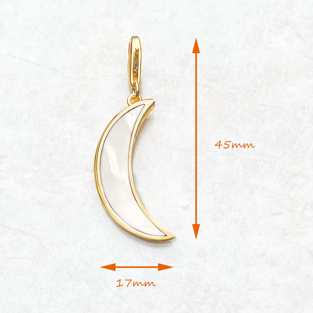 Pendentif breloque en argent Sterling 925