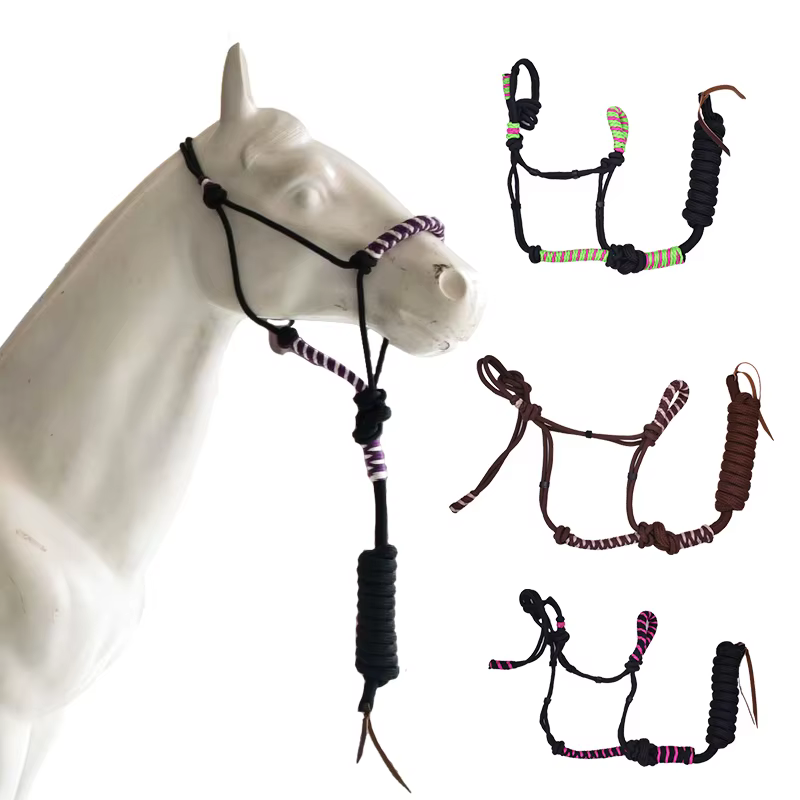 Harnais d'entraînement Western pour chevaux