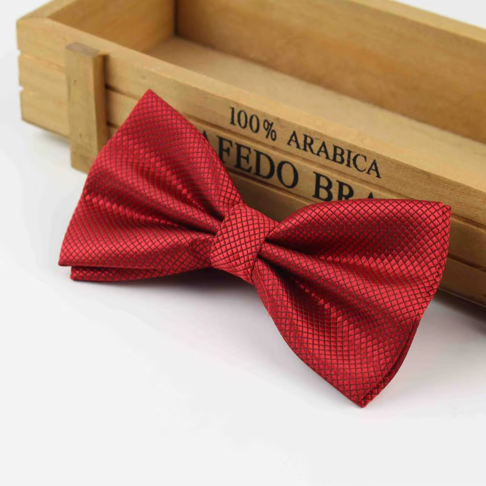 Nœud papillon pour hommes