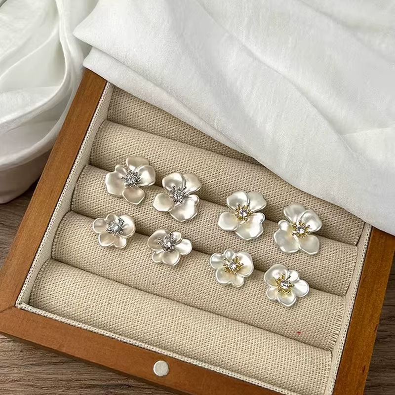 Boucles d'oreilles clous en zircon couleur argent
