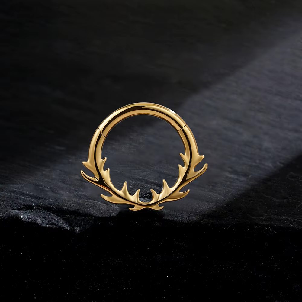 Right Grand Anneau de septum en titane ASTM F136