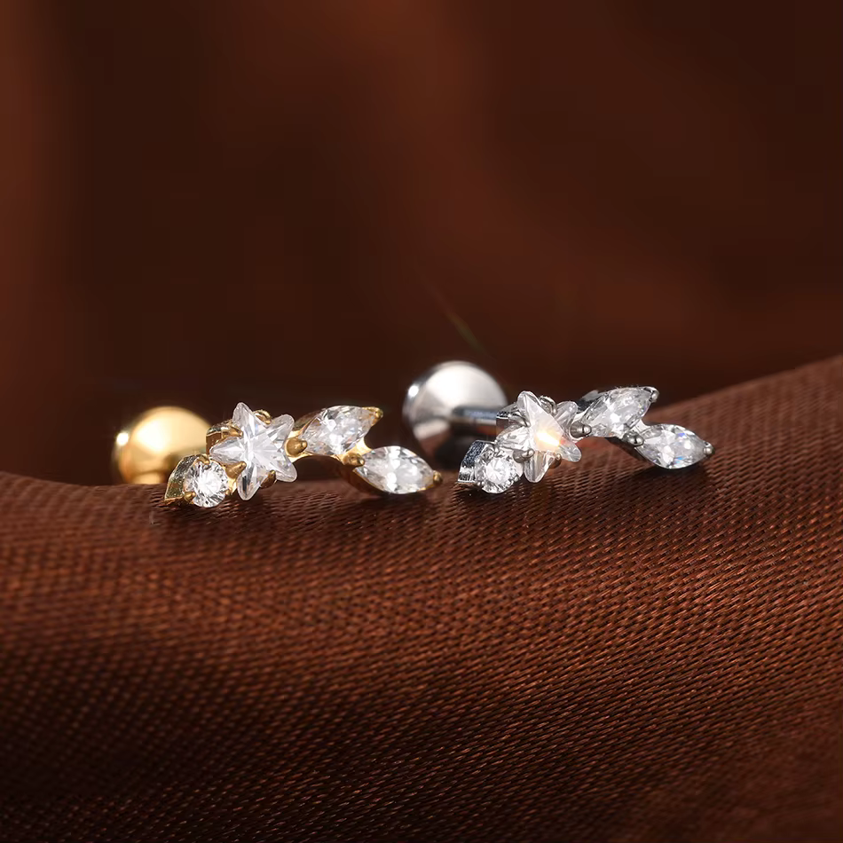 Piercing de Cartilage d'oreille en titane