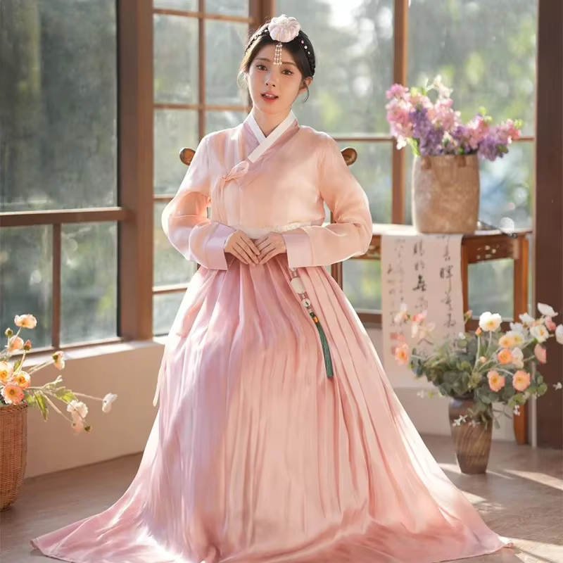 Robe Hanbok Coréenne Traditionnelle Ancienne pour Femme