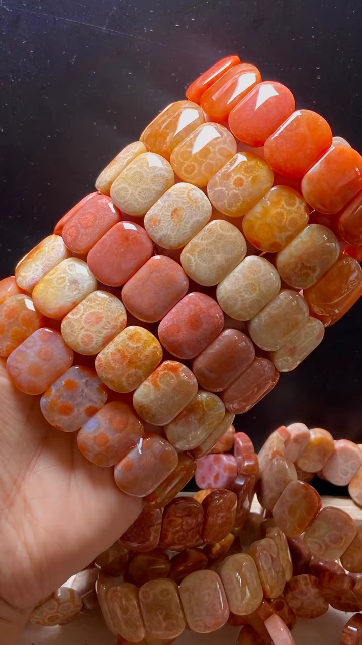 Bracelet en jaspe fossile de corail naturel