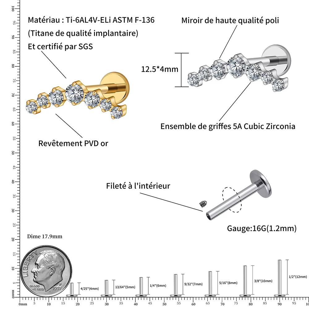 Right Grand ASTM F136 Titane 16G CZ Cluster Climber Boucle d'oreille à tige filetée interne Labret Helix Conch Tragus