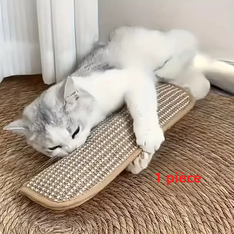 Coussin de jeu et griffoir pour chat pour le jeu individuel et l'interaction intime