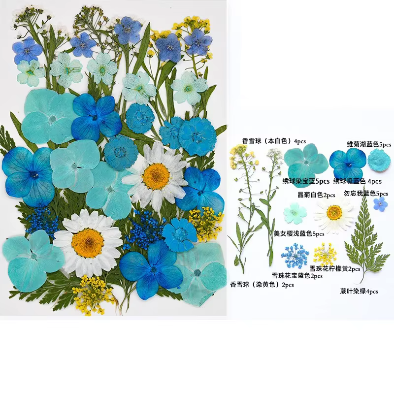 Fleurs séchées pressées pour moules à résine