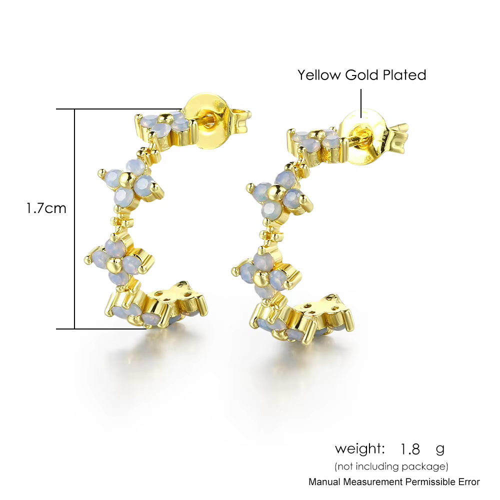 Boucles d'oreilles Everver en or pour femmes