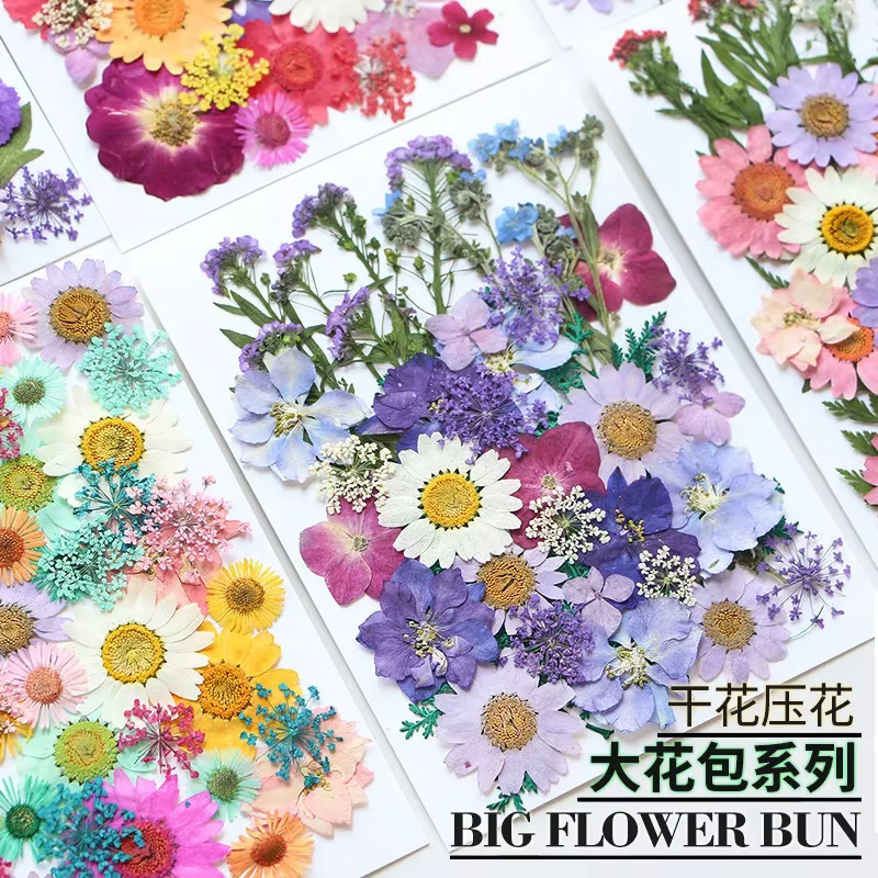 Fleurs séchées pressées pour moules à résine