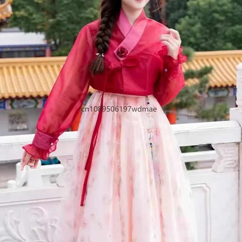 Robe Hanbok Coréenne Traditionnelle Ancienne pour Danse Scénique