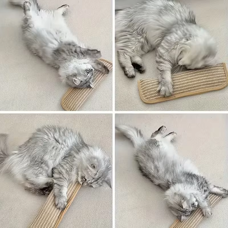 Coussin de jeu et griffoir pour chat pour le jeu individuel et l'interaction intime