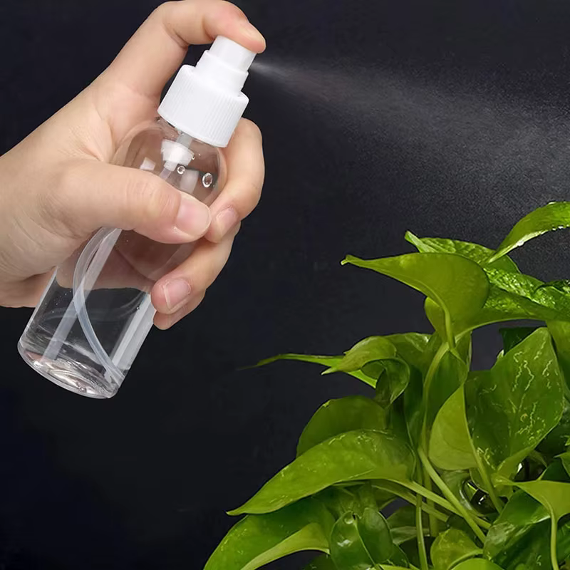 Flcopropriété pulvérisateur portable en plastique l'horloge transparent